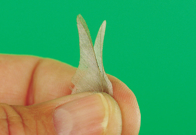 Burned Wings - The Fly Tier's Benchside Reference - page 252