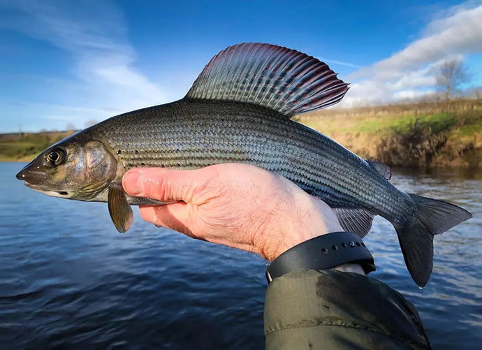 Euro Nymphing for Grayling in Scotland - Stewart Collingswood