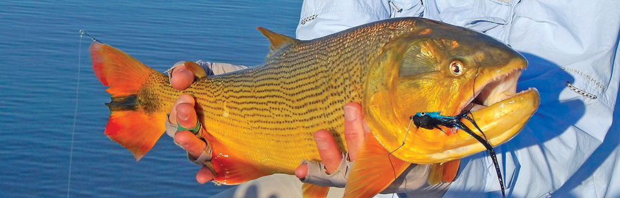 Fly Design for Predator Game Fish by Garrett Lesko – Flyfishing and ...