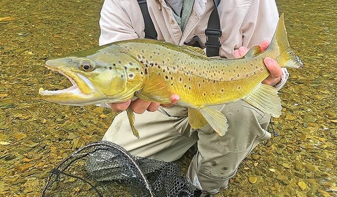Fishing with Nymphs - Getting Down to the Trout by Forrest A. Young –  Flyfishing and Tying Journal