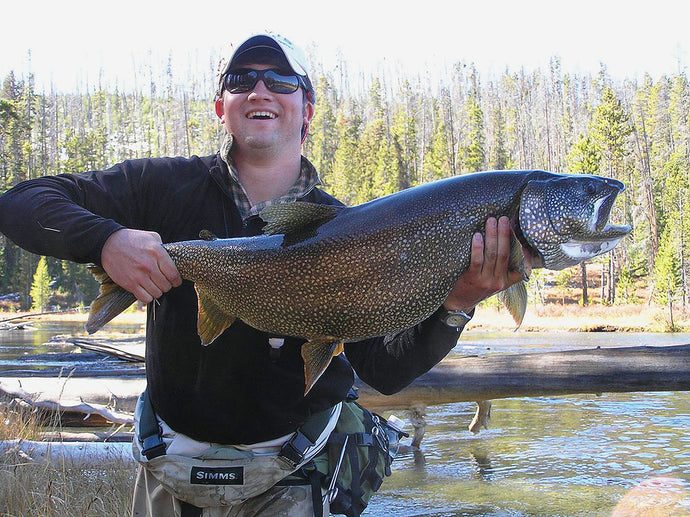 Stream Fishing for Lake Trout by Boots Allen